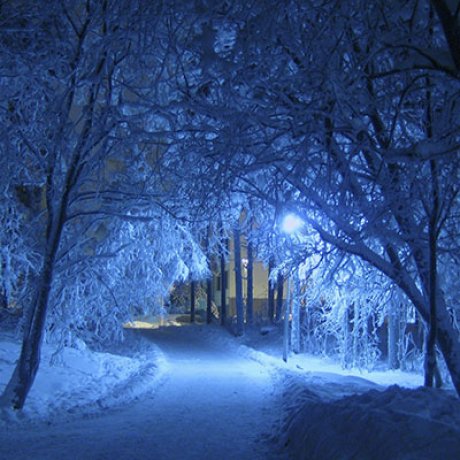 Finnland-Urlaub-Winterlandschaft-Polarlichte