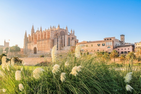 Mallorca-Urlaub-Viva-Hotel-Kathedrale-Familien-Paa