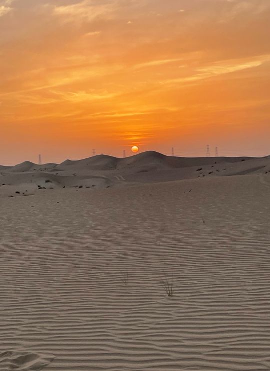 Sonnenuntergang in der Wüste Dubai