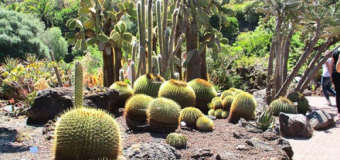 gran-canaria-urlaub-buchen-reisebericht-natur